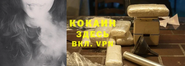 spice Алзамай