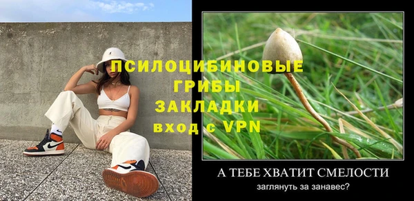 винт Алексеевка