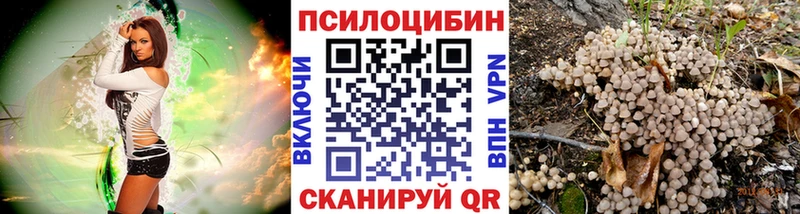 Псилоцибиновые грибы прущие грибы  даркнет сайт  Сольвычегодск 